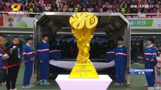 2025湘超巅峰对决：永州1:0常德，永