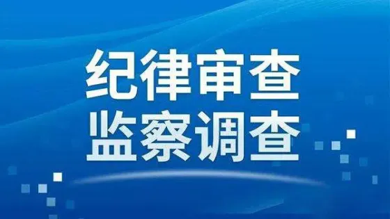 花垣县应急管理局原党组成员、副局长吴启斌接受审查调查