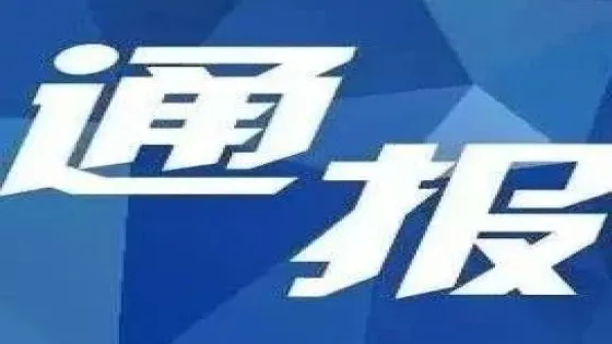 凰县文化旅游广电局原党组书记、局长、四级调研员唐小平接受审查调查