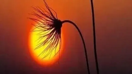 懂了摄影圈那些不成文的“规矩”，你才算真正入了门